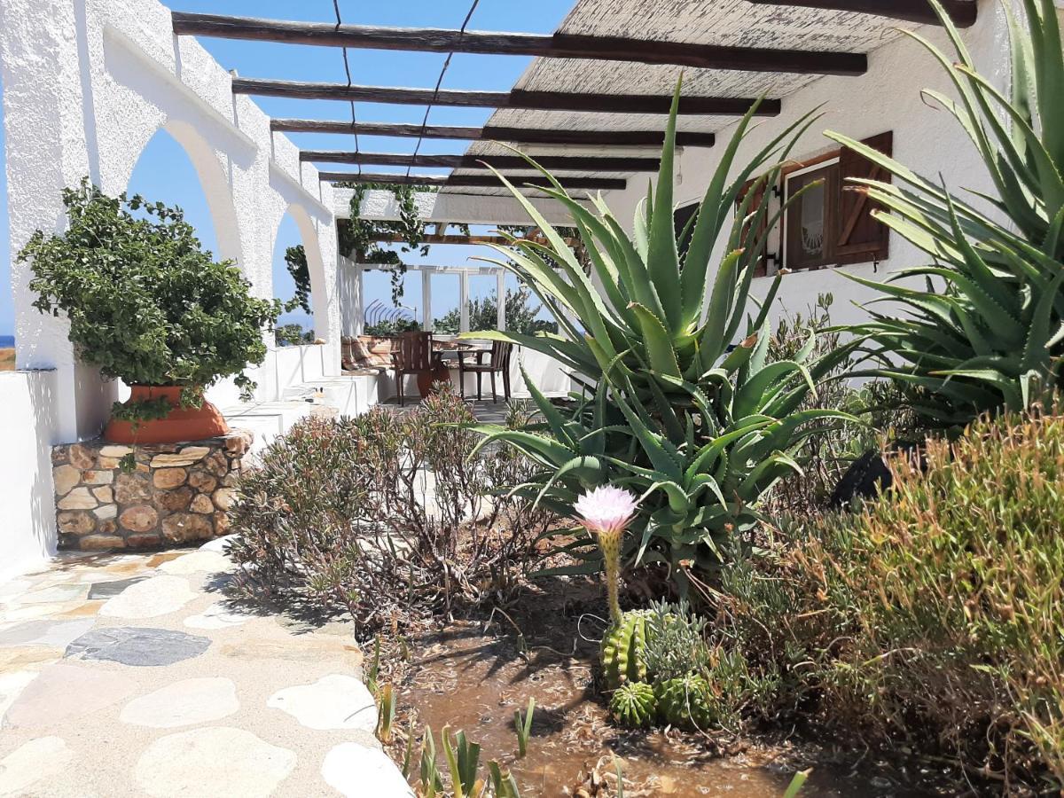 Traditional House By The Beach Agia Theodoti Экстерьер фото